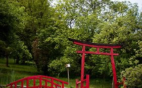 Casa Lily - Japanese Retreat